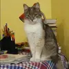 Отзыв от Антонина Измайлова
